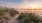 a sandy beach with grass and water